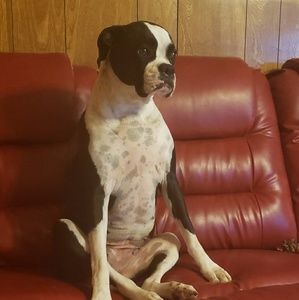 Meet your Posher, Kevin